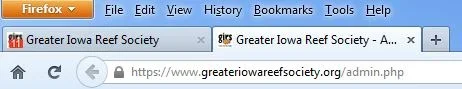 distortion.webp