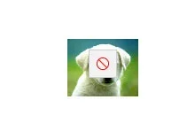 nopic.webp