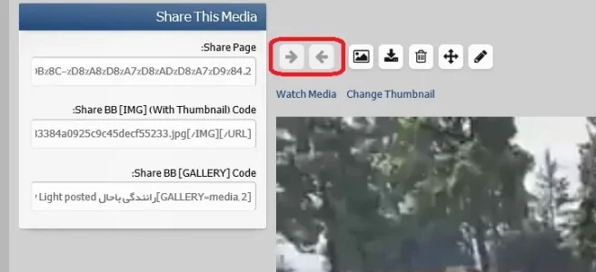 rtlbug2.webp