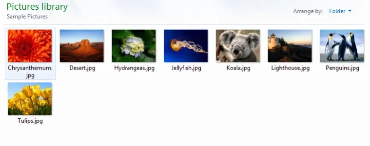 Capture.webp