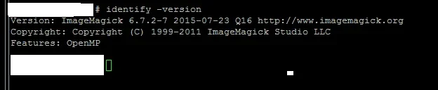 Capture.webp