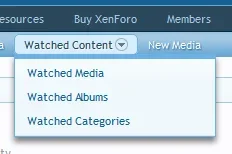 Media Gallery.webp