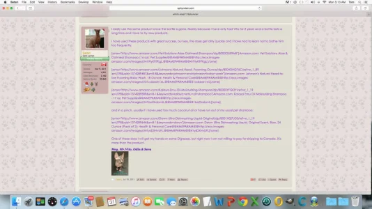 Screen Shot 2015-08-31 at 5.13.22 AM.webp