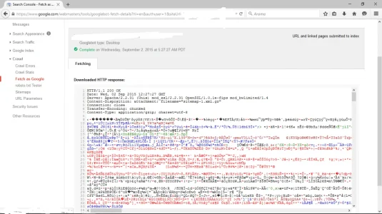 1.webp