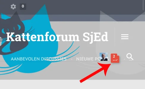 Screenshot_2015-09-20-15-28-42.webp
