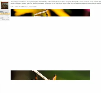 proxy.webp