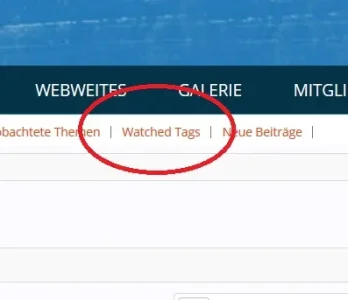 bug 1.webp