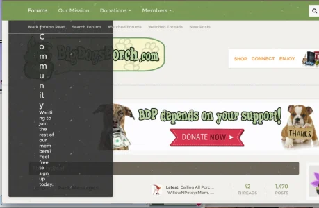 Screen Shot 2015-10-14 at 17.15.42.webp