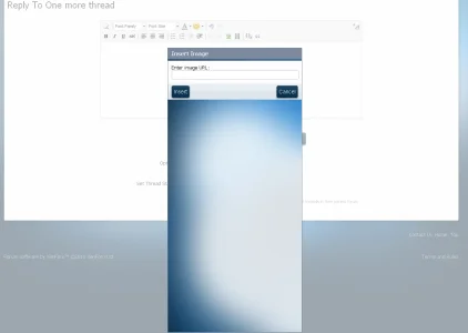 bug.webp