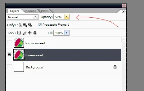 opacity.webp
