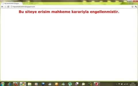 blogger.webp