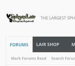 Screen Shot 2015-11-08 at 7.30.23 PM.webp