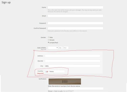 1.webp