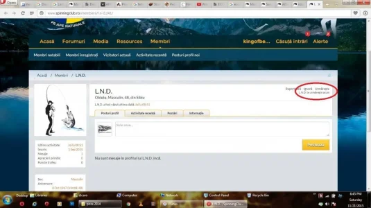 3.webp
