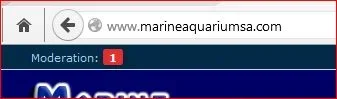 Capture2.webp