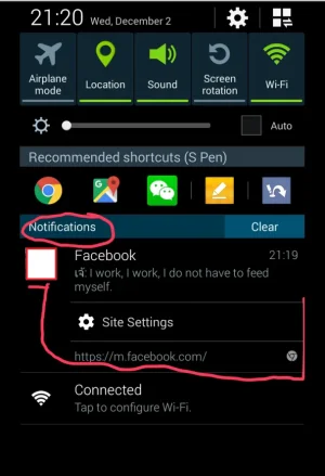 Capture.webp