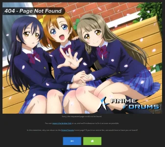 404-page-not-found-example.webp