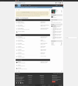 customstyle1.webp