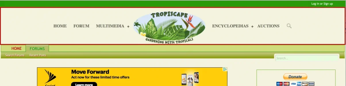 HEADER.webp HEADER.webp