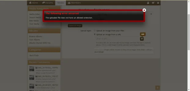 Error.webp