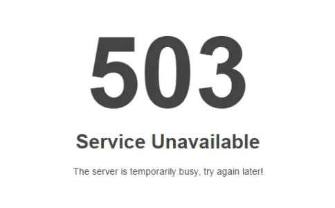 503.webp