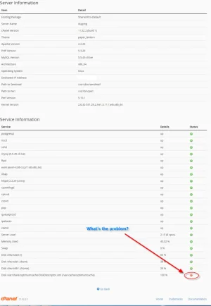 server information.webp