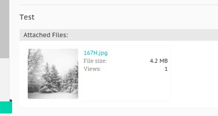 Utvalg_003.webp