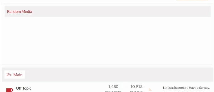 no random media.webp