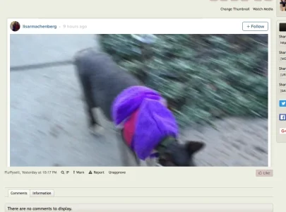 Screen Shot 2016-01-13 at 6.04.52 AM.webp
