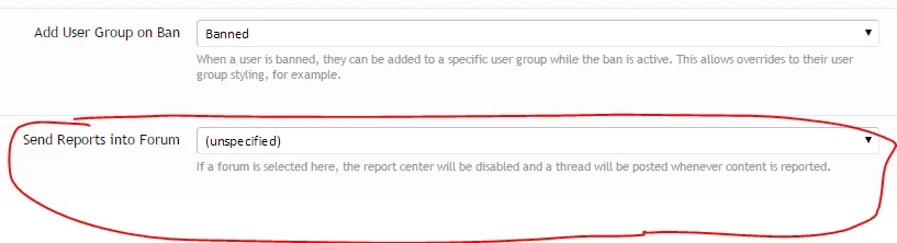 Send Reports into Forum.webp