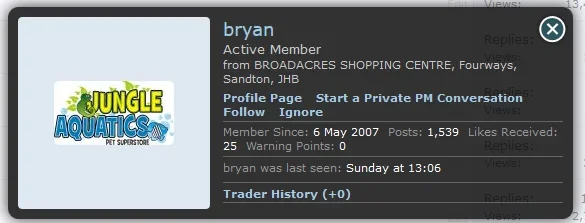 trader.webp