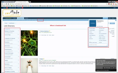 3.webp