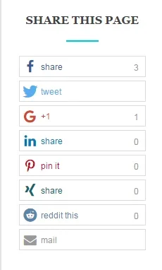 my google share.webp