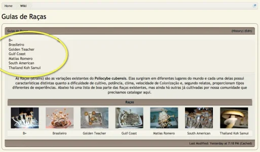sub-pages.webp