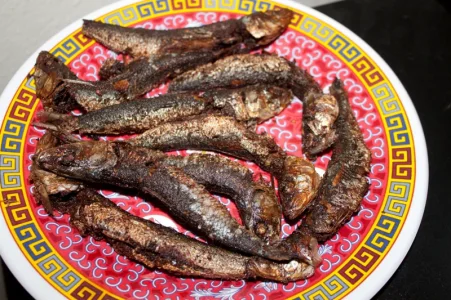 Fish.webp