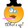 whats up.webp