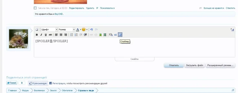 screen.webp