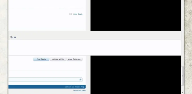 quickreply bug.webp
