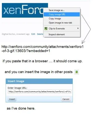copying.image.URLs.to.post.elsewhere.webp