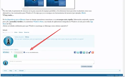 13.webp