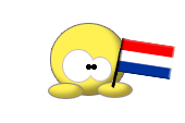 Dutch_White.gif
