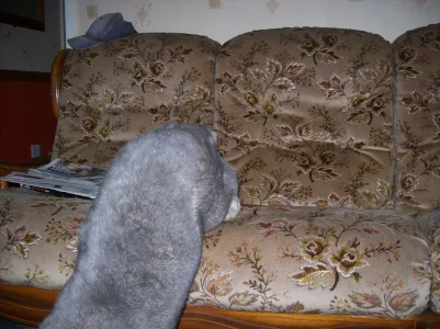 114_0193.webp