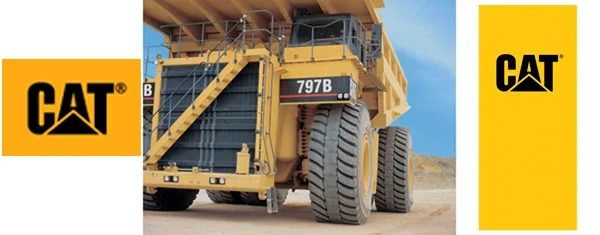 caterpillar.webp