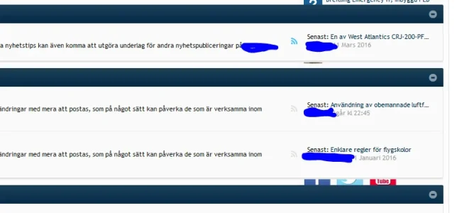 bug.webp
