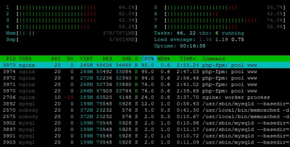 XF1.webp