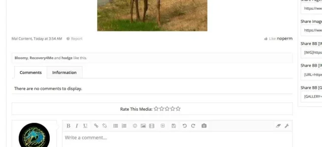 noperm .webp