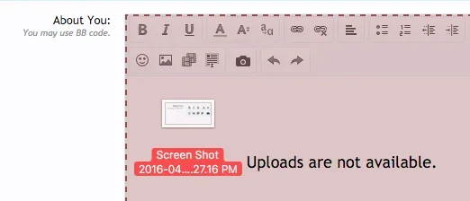 Screen Shot 2016-04-11 at 2.30.15 PM.webp