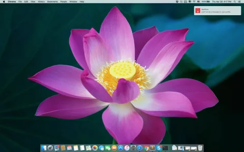 Screen Shot 2016-04-28 at 4.17.46 PM.webp