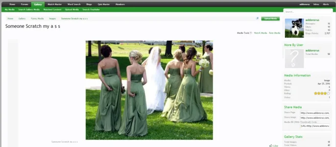 viewmedia.webp
