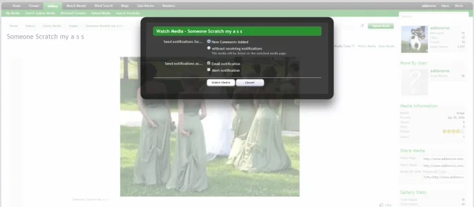 watchmedia.webp